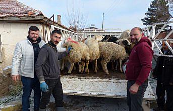 Amasyalı besiciler depremzedeler için hayvan bağış kampanyası başlattı