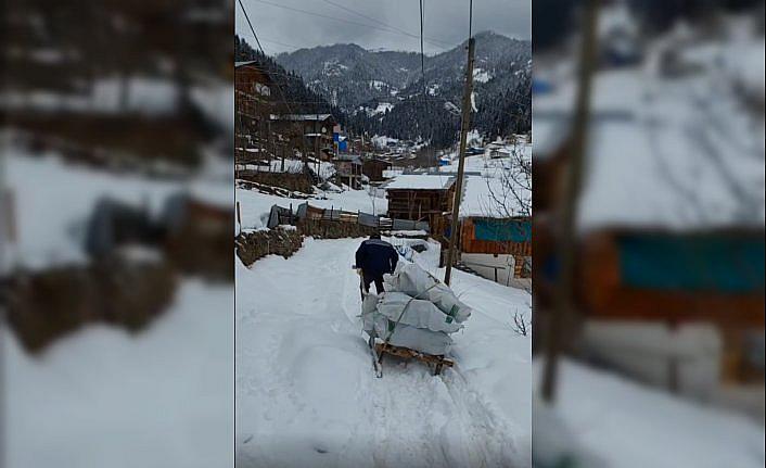 Artvin'de köylüler depremzedeler için kızaklarla odun taşıdı