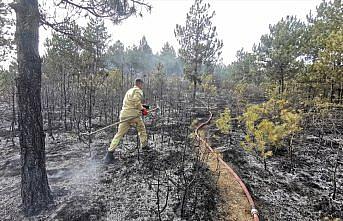 Kastamonu'da ormanlık alanda çıkan yangın söndürüldü