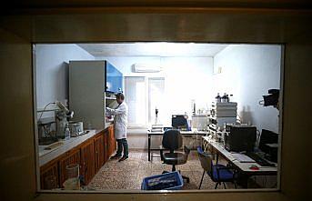 ODTÜ'lü bilim insanlarından İzmit Körfezi için tavsiye kararları