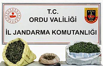 Ordu'da uyuşturucu operasyonunda 1 şüpheli tutuklandı
