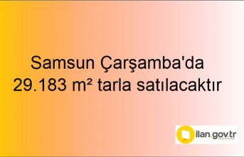 Samsun Çarşamba'da 29.183 m² tarla mahkemeden satılacaktır