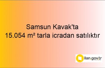 Samsun Kavak'ta 15.054 m² tarla icradan satılıktır