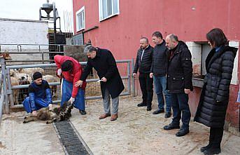 Samsun'dan deprem bölgesine et yardımı