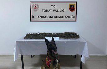 Tokat'ta uyuşturucu madde sattığı öne sürülen zanlı tutuklandı