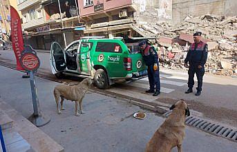 Jandarma ekiplerince deprem bölgesindeki hayvanlara mama desteği