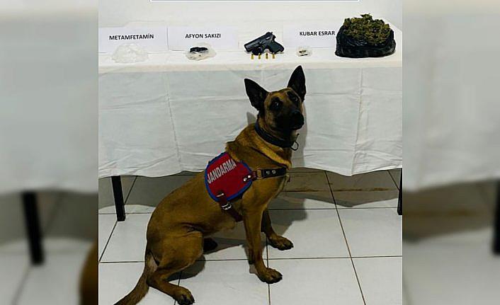 Trabzon'da uyuşturucu operasyonunda 2 şüpheli gözaltına alındı