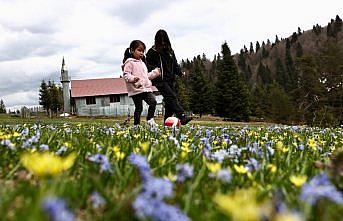 Düzce yaylalarında baharın renkleri kendini gösterdi