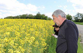 Havza Ziraat Odası Başkanı Genç kanola tarlasında incelemede bulundu