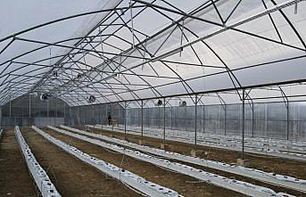 Trabzon'da “En Mutlu Köy Projesi“nin ilk etabında sona doğru