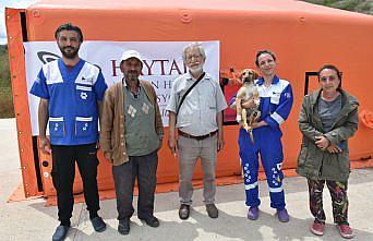 Boyabat Belediyesi ve HAYTAP işbirliğiyle sahipsiz hayvanların tedavi ve bakımları yapıldı