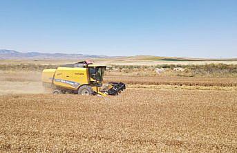 Amasya'da 765 dekar atıl arazi tarıma kazandırıldı