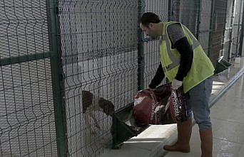 Amasya'da kurulan tesiste hayvan hastanesi de oluşturuluyor