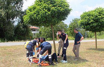 Amasya'da trafik kazasında 5 kişi yaralandı