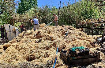 Amasya'da yangın sonucu 200 balya saman zarar gördü