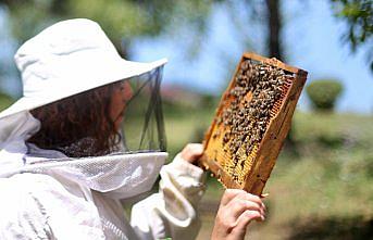 Arı yetiştiricilerine iklim değişikliğine karşı alternatif ürünlere yönelme önerisi