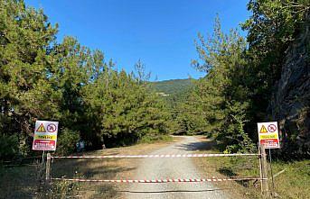 Bafra'da ormanlık alanlara girilmesi yasaklandı