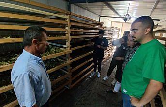 OMÜ öğrencilerinden 19 Mayıs ilçesinde tarım üreticilerine ziyaret