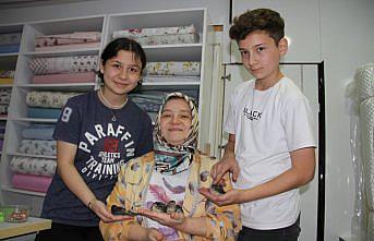 Yuvasından düşen yavru kırlangıçlara esnaf sahip çıktı