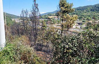 Bolu'da çıkan orman yangını büyümeden söndürüldü