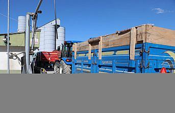 Havza'da TMO alımları devam ediyor