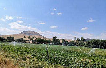 Merzifon'da sulama tesisi hizmete girdi