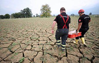 Düzce'de bataklıkta mahsur kalan 4 büyükbaş hayvan kurtarıldı