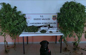 Düzce'de uyuşturucu operasyonunda 1 şüpheli gözaltına alındı