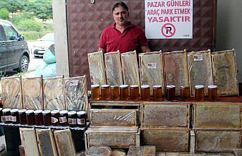 Sinop'ta bal rekoltesinde düşüş yaşanıyor