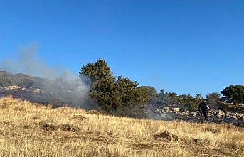 Amasya'da çıkan örtü yangınında 3 hektar alan zarar gördü