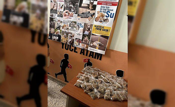 Amasya'da çocuklar sahipsiz hayvanlarına mama verdi