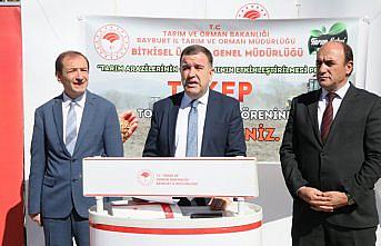 Bayburt'ta 330 ton sertifikalı buğday tohumu dağıtıldı