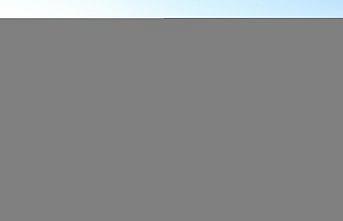 Bolu'da yağlık ayçiçeği hasat ediliyor