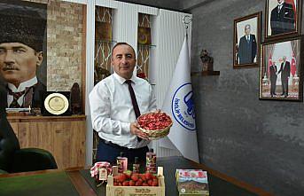 Coğrafi işaret tescilli İskilip çileğinden lokum ve kolonya üretildi