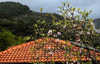 Enuygun, en güzel sonbahar kareleri çekilebilecek rotaları belirledi