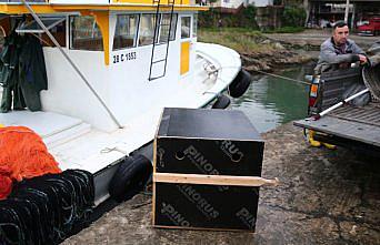 Giresun'da denizdeki ayı yavrusu balıkçılar tarafından kurtarıldı