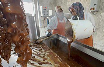 Giresun'un tescilli Şebin cevizinde hasat başladı