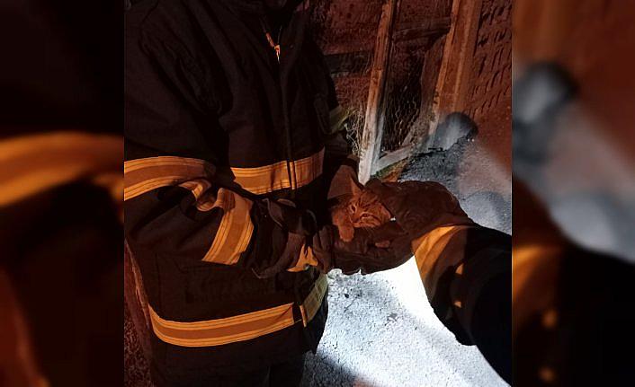 Karabük'te apartman boşluğunda mahsur kalan kedi yavrusu kurtarıldı