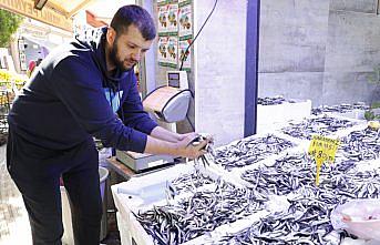Karadeniz'de bollaşmaya başlayan hamsinin fiyatı düştü