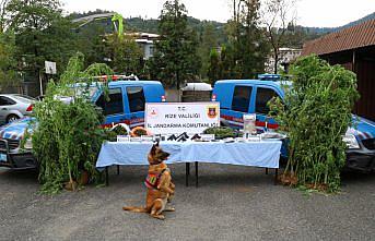 Rize'de 5 ilçede yapılan uyuşturucu operasyonunda 14 zanlı yakalandı