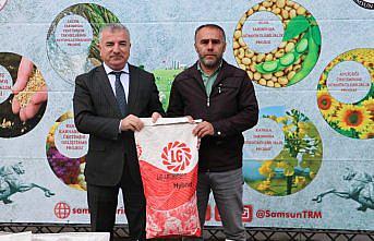 Samsun'da çiftçilere kanola tohumu dağıtıldı