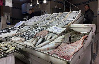 Sinop'ta ağlara takılan kalkan balıkçının yüzünü güldürdü