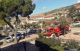 Amasya'da ağaçta mahsur kalan kediyi itfaiye kurtardı