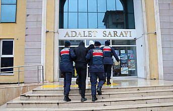 Artvin'de 15 düzensiz göçmen yakalandı