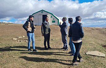 Bayburt'ta ağıla giren kurtlar 200 koyunu telef etti