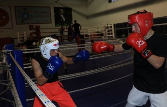 Boksör kardeşler Fatih ve Can Kaya, Avrupa Şampiyonası'nda altın madalya hedefliyor