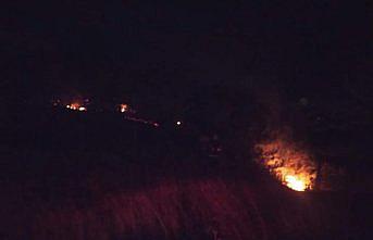 Bolu'da çıkan örtü yangını söndürüldü