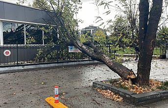 Bolu'da rüzgarda devrilen ağaç polis noktasının üzerine düştü