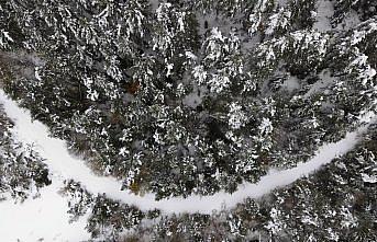 Kastamonu'da kar yağışı sonrası ormanlar dronla görüntülendi