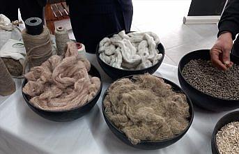 Samsun’da kenevir işleyecek fabrika tanıtıldı